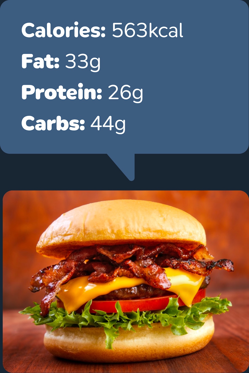 Sending a picture of a burger to the chat bot and getting back calories, macros and ingredients.